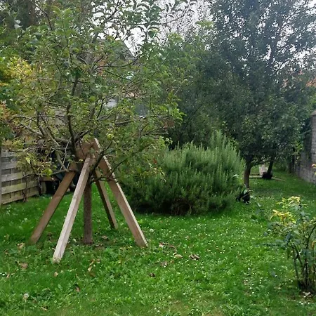 La Cambraisienne